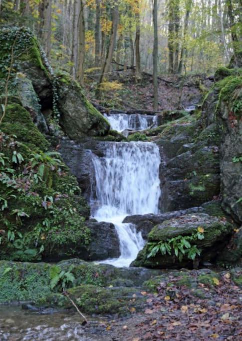 Laissez-Vous Enchanter Par La Vallee De La Meuse Hastiere-par-dela Extérieur photo